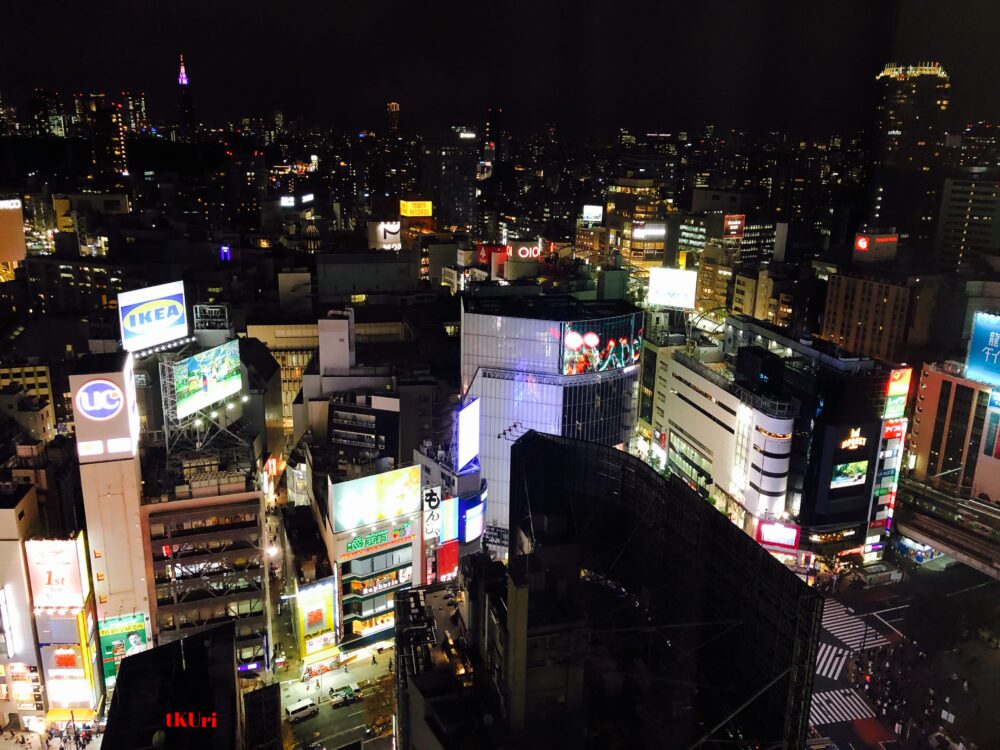 渋谷とその奥の新宿夜景
